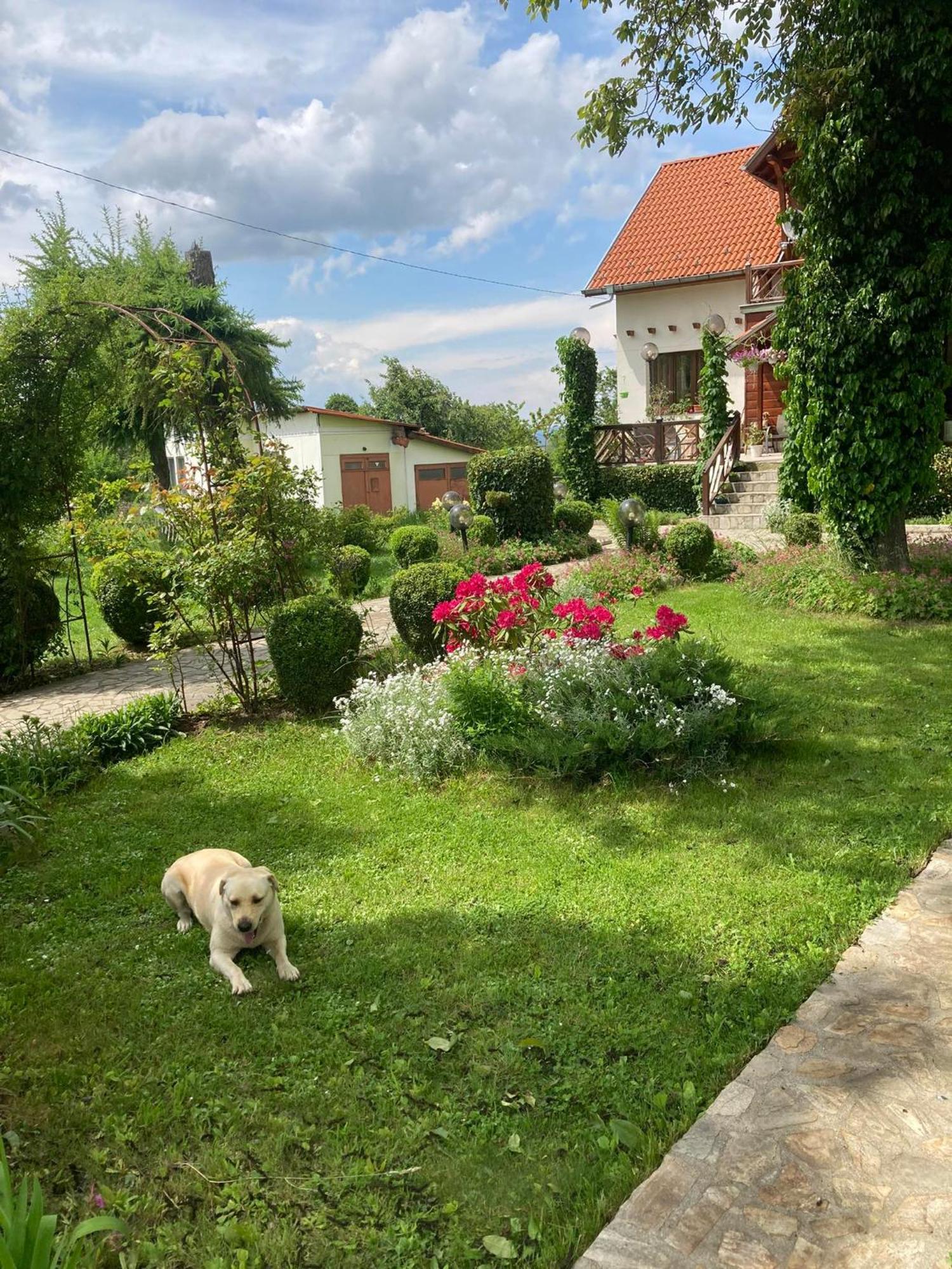 Orehite Guest House Samokov Esterno foto